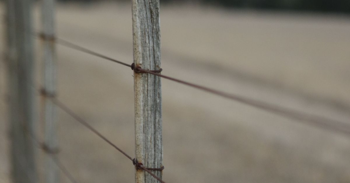 Acoustic Fencing and Your Garden: Harmonising Noise Protection and Landscaping