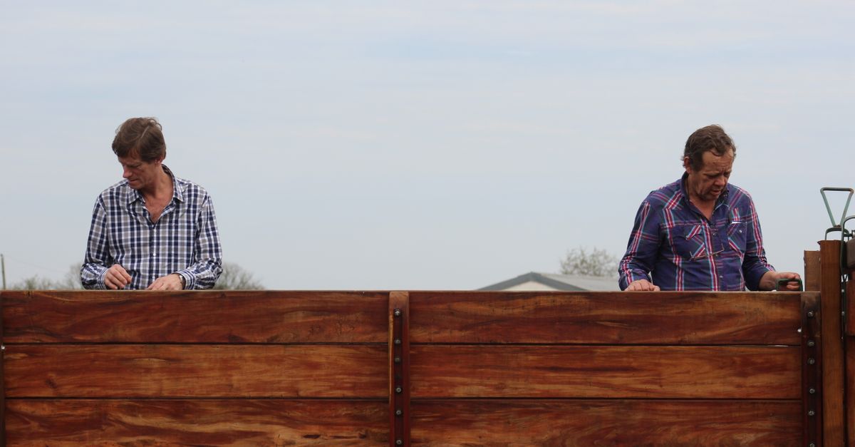 Benefits of Treated Pine in Residential Timber Fencing
