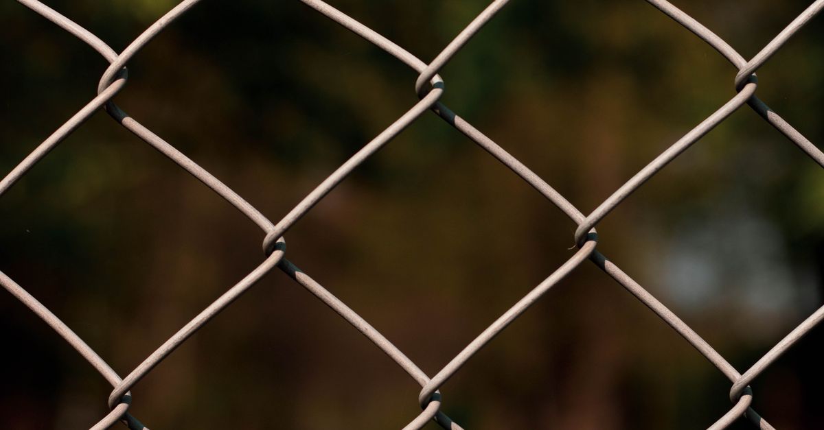 Comparing Colourbond Fencing to Traditional Timber Fencing