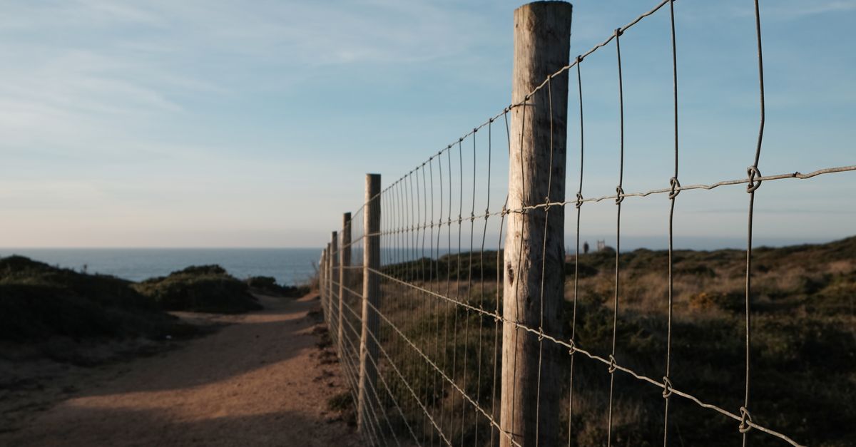 Comparing Hardwood and Softwood for Fencing Needs