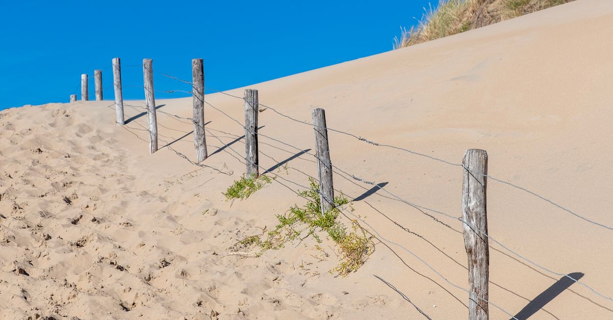 Frequently Asked Questions About Geelong Pool Fencing Laws