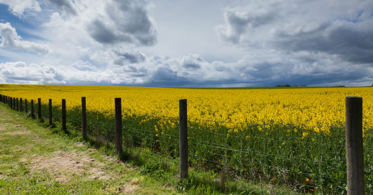 How to Obtain Permits for Commercial Fencing in Geelong