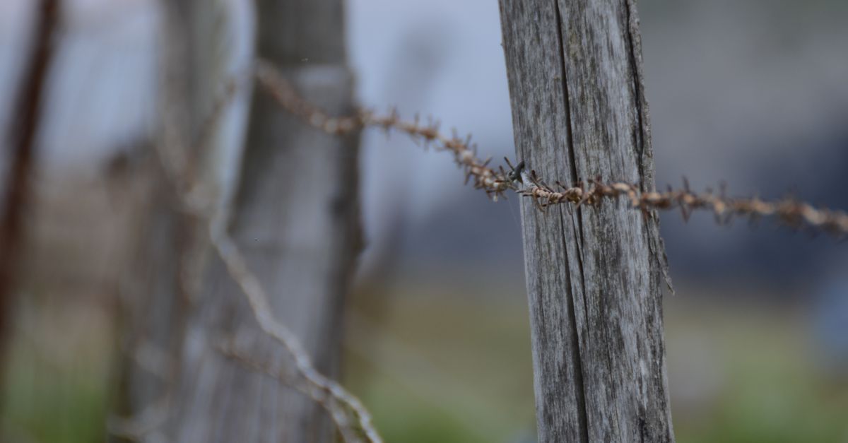 Key Considerations for Selecting Temporary Fencing for Events in Geelong