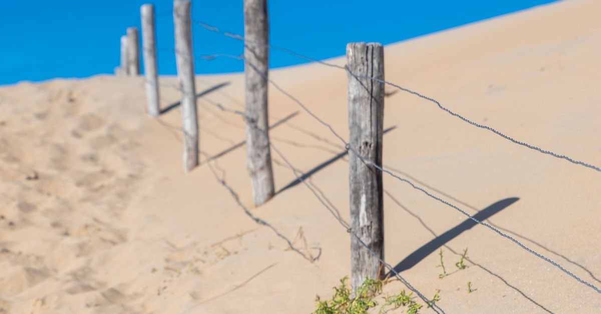 Maintenance Tips for Keeping Your Colourbond Fence Looking New