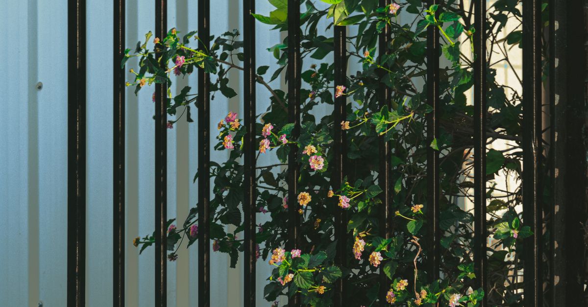 Tips for Choosing Sustainable Timber Fencing Solutions
