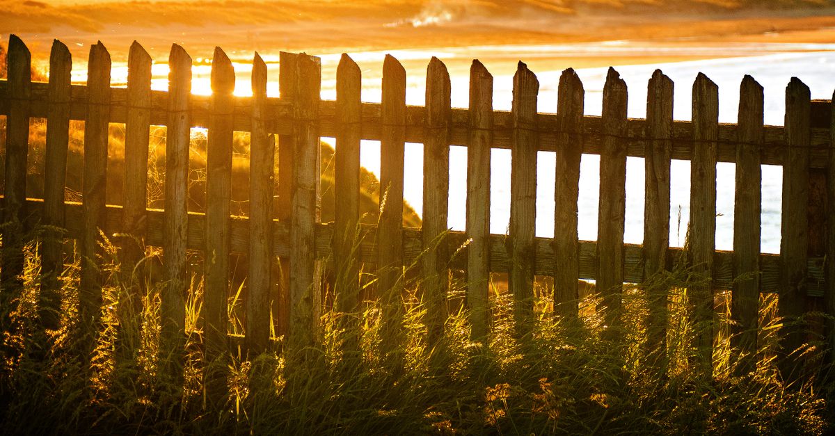What You Need to Know About Fencing Height Regulations in Geelong